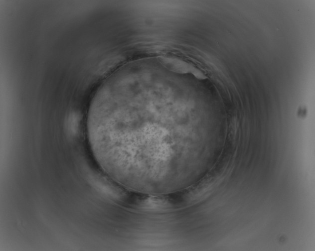 X0000094450270200711211525