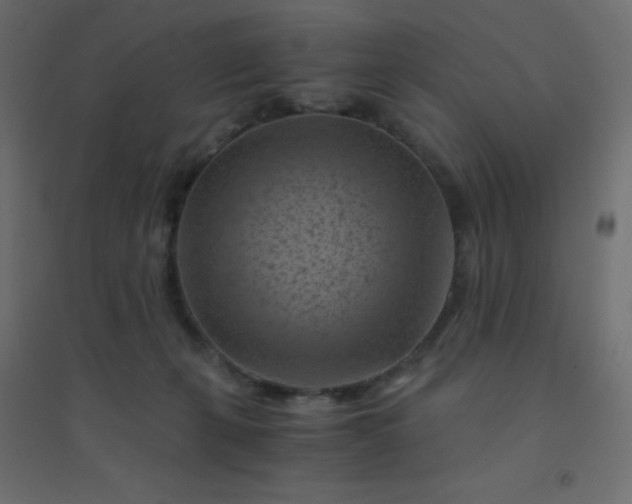 X0000094450271200711211525