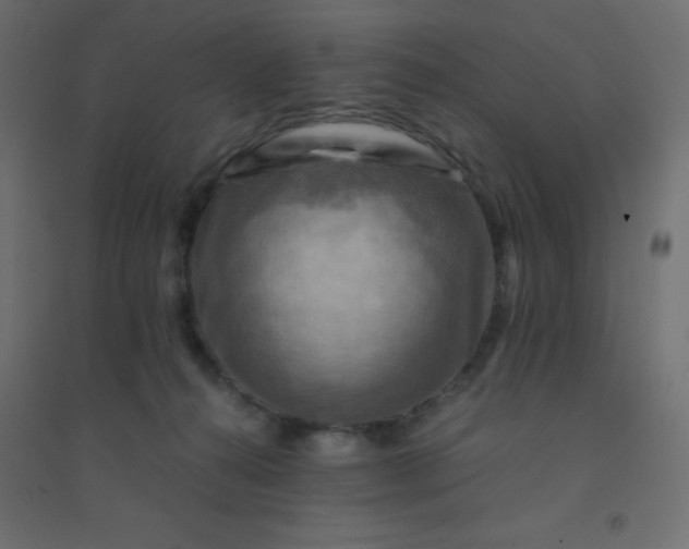 X0000094450272200711211525