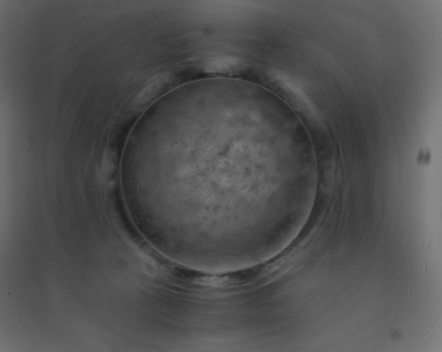 X0000094450273200711211525