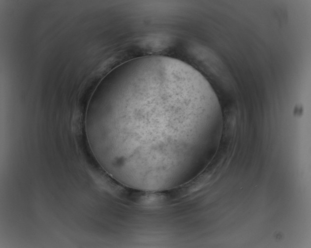 X0000094450274200711211525