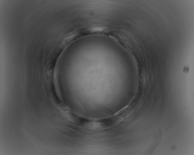 X0000094450276200711211525