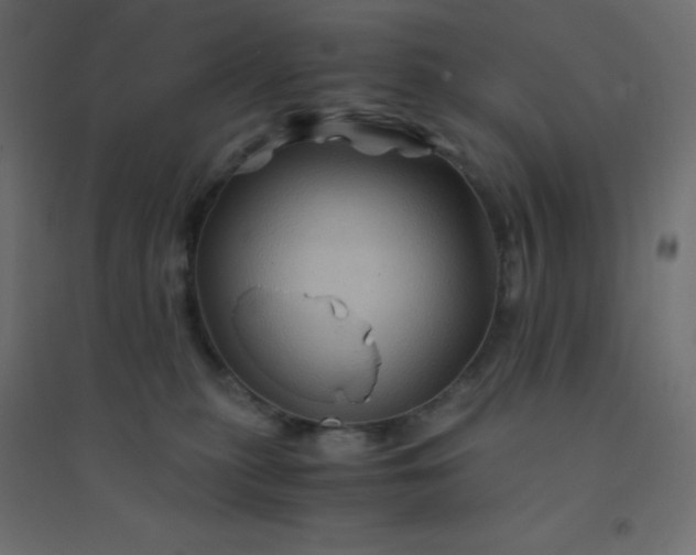 X0000094450279200711211525