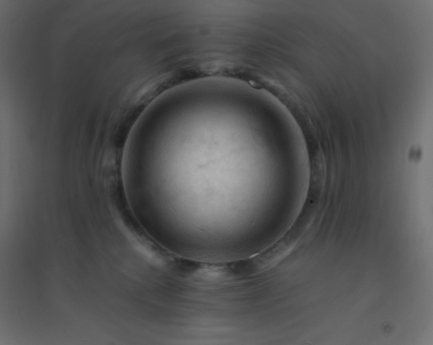 X0000094450280200711211525