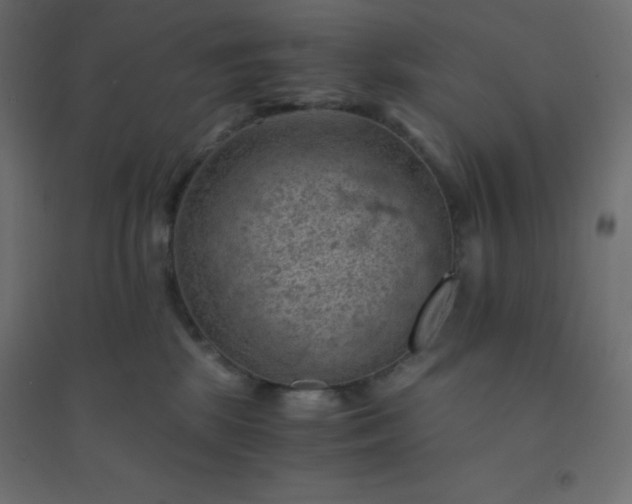 X0000094450281200711211525