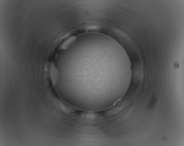 X0000094450282200711211525