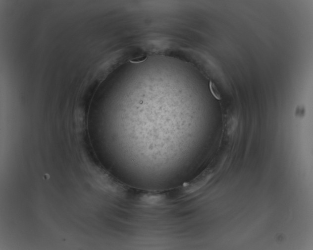 X0000094450283200711211525