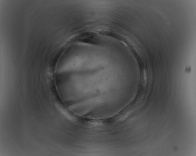 X0000094450284200711211525