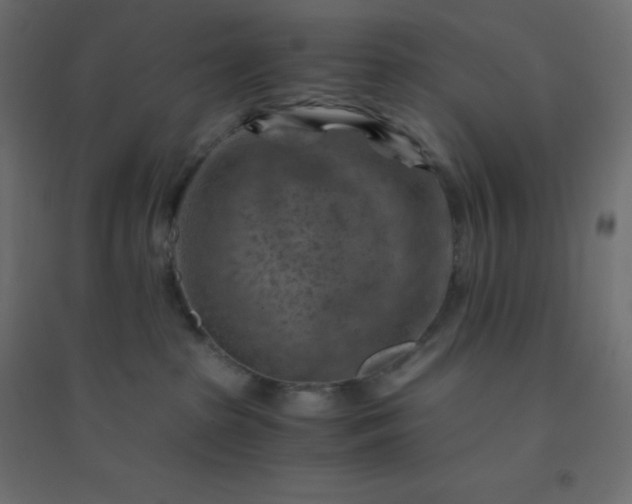 X0000094450285200711211525