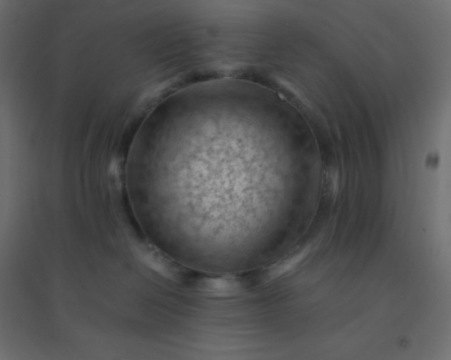 X0000094450286200711211525