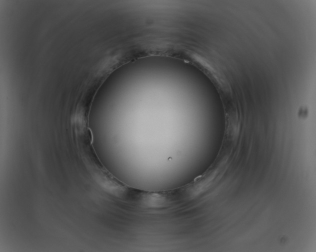 X0000094450287200711211525