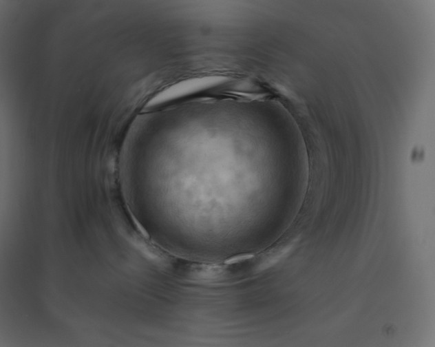 X0000094450288200711211525