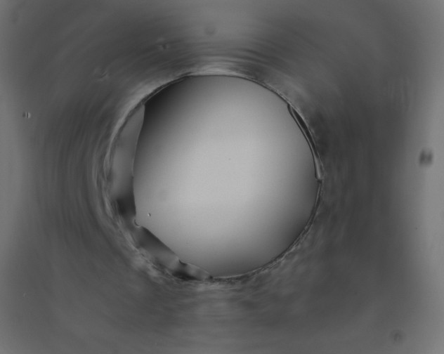 X0000094450289200711211524