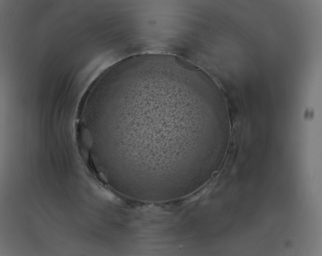 X0000094450290200711211524