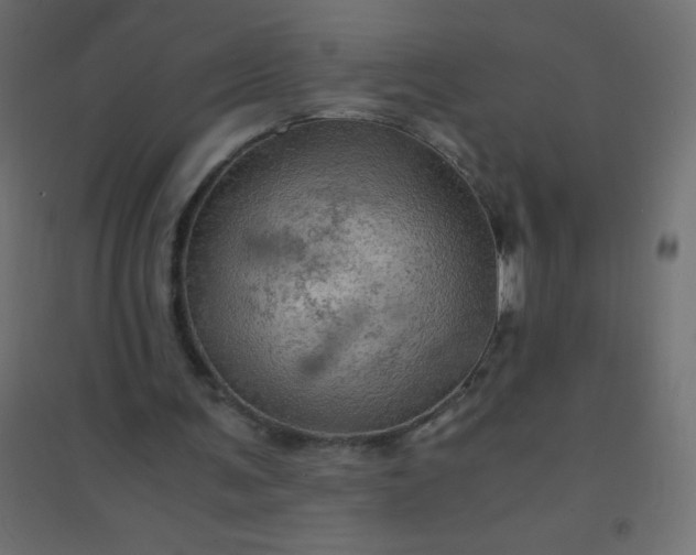 X0000094450291200711211524