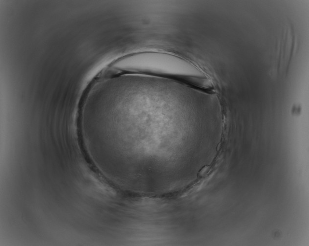 X0000094450292200711211524