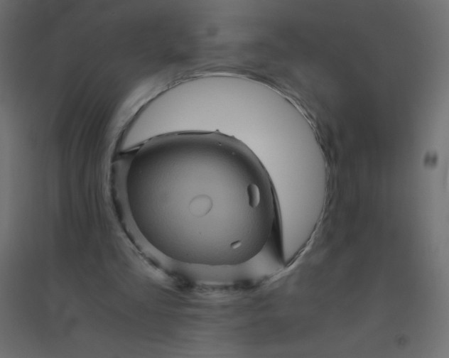 X0000094450293200711211524