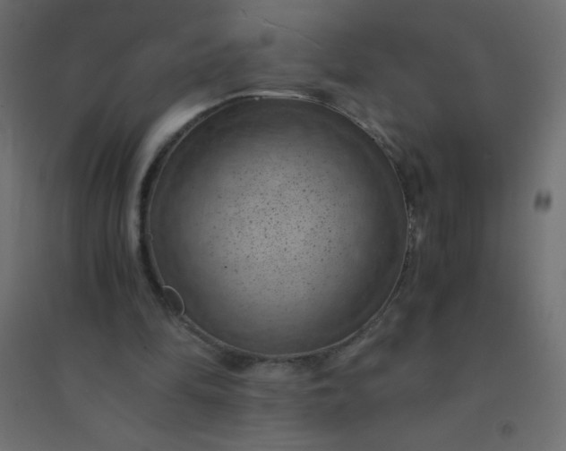 X0000094450294200711211524