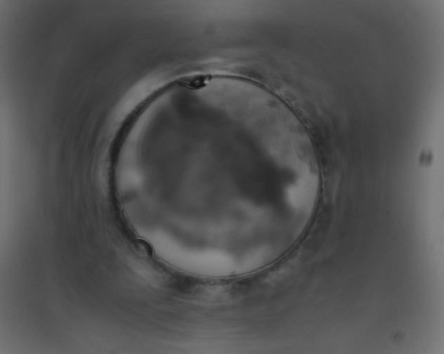 X0000094450295200711211524