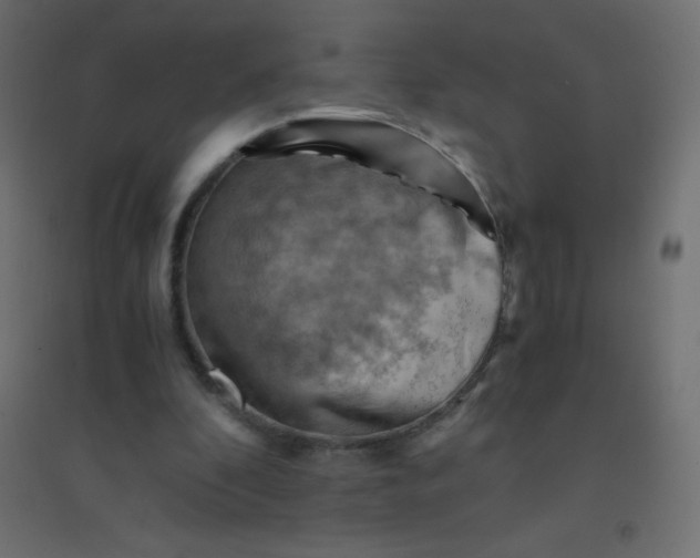 X0000094450296200711211524