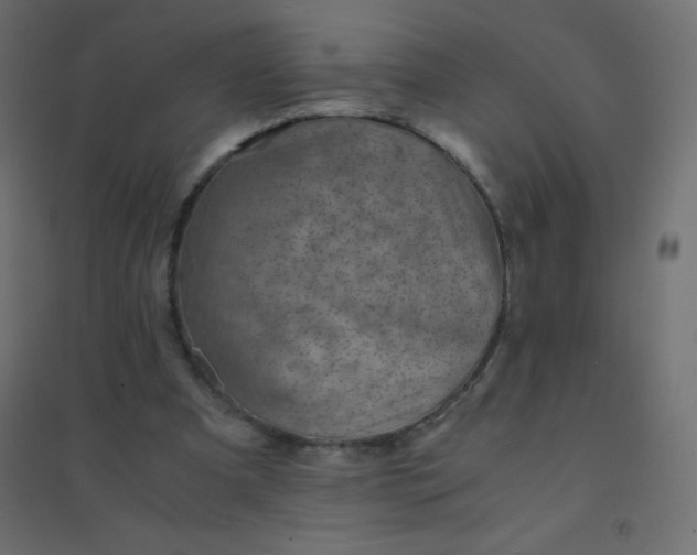 X0000094450297200711211524