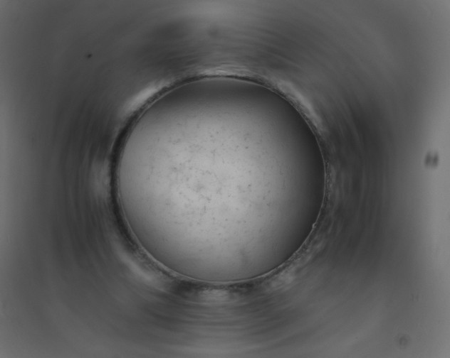 X0000094450298200711211524