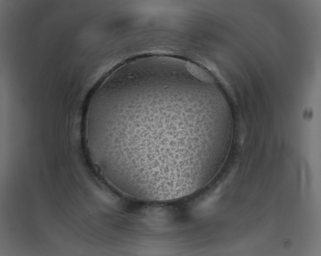 X0000094450299200711211524