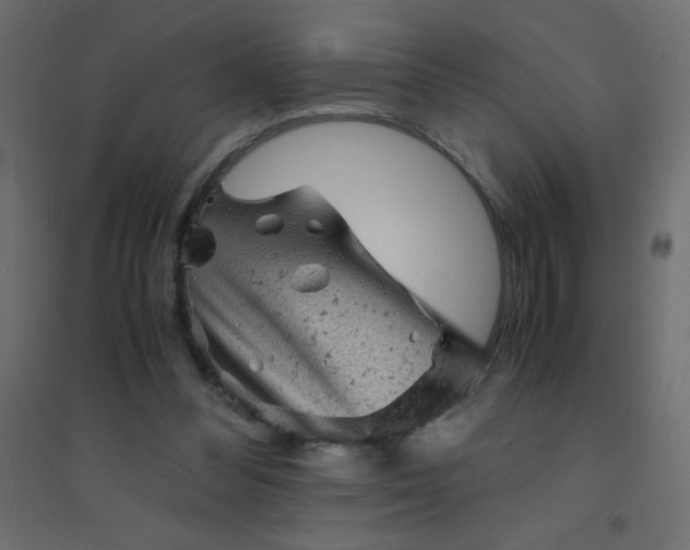 X0000094450300200711211524