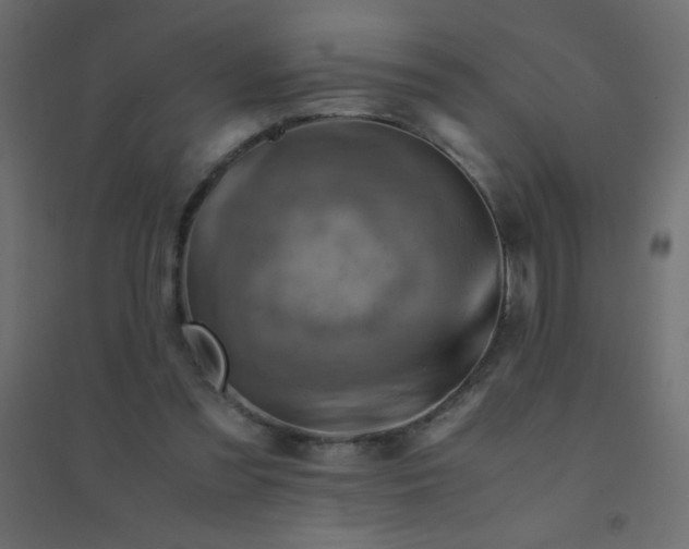 X0000094450301200711211524