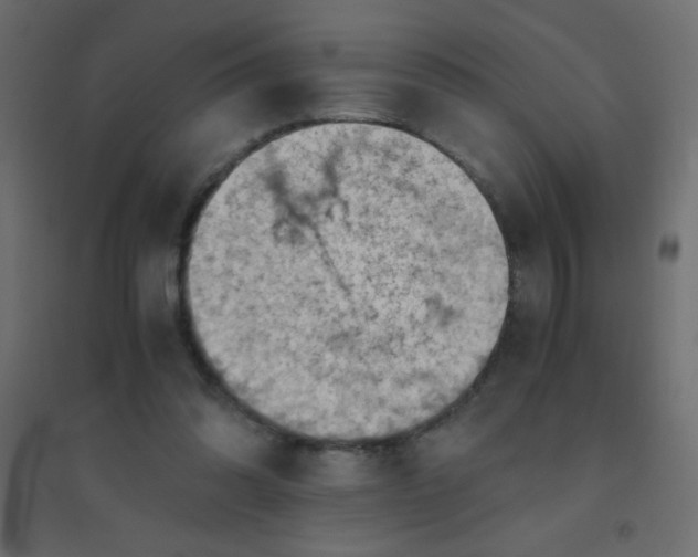 X0000094450302200711211524