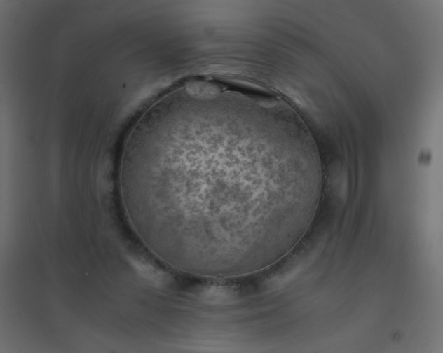 X0000094450303200711211524