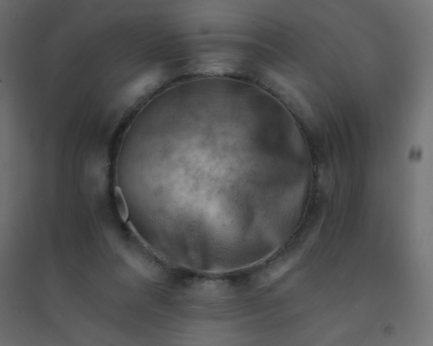 X0000094450304200711211524