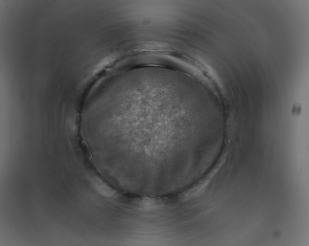 X0000094450305200711211524