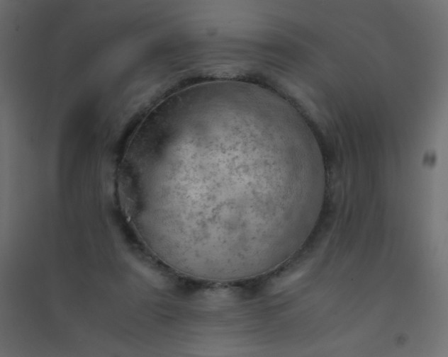 X0000094450307200711211524