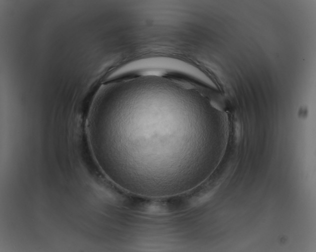 X0000094450308200711211524