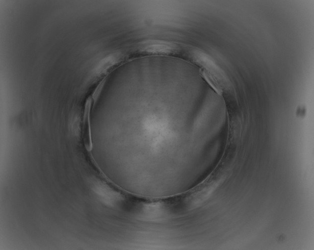 X0000094450309200711211524