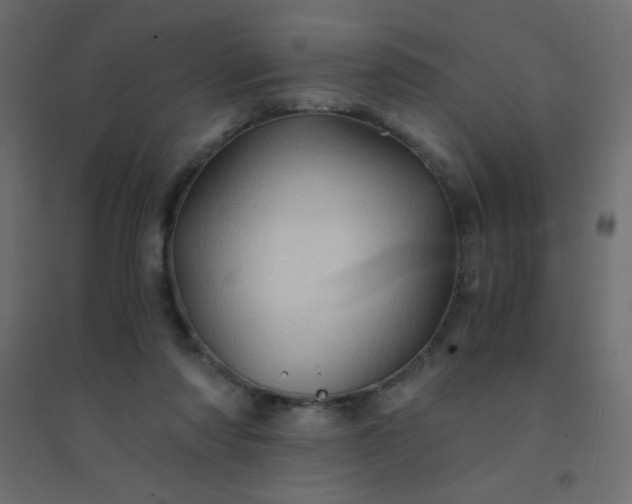 X0000094450310200711211524