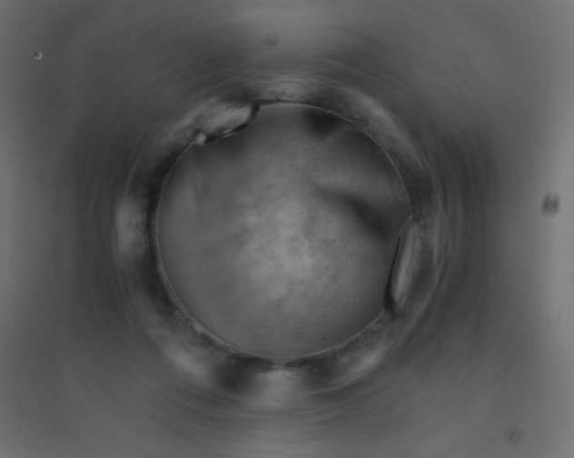 X0000094450312200711211524