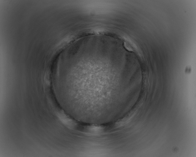 X0000094450313200711211524