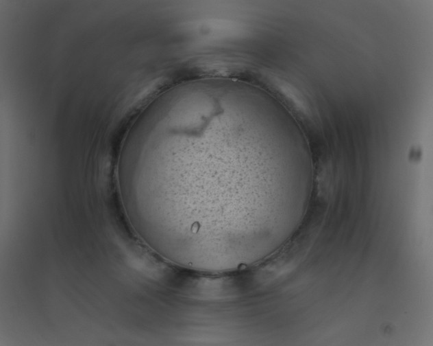 X0000094450314200711211524