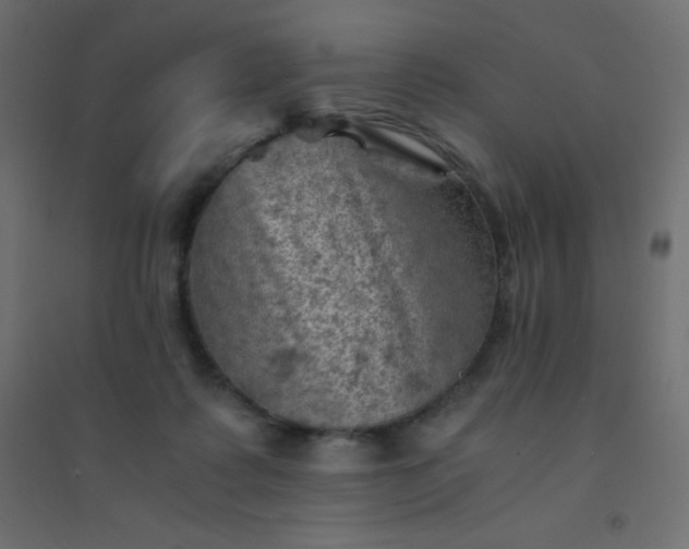 X0000094450315200711211524