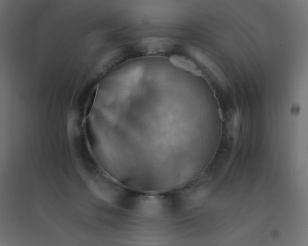 X0000094450316200711211524