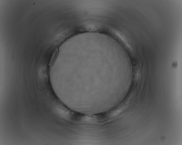 X0000094450317200711211524