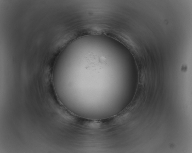 X0000094450318200711211524