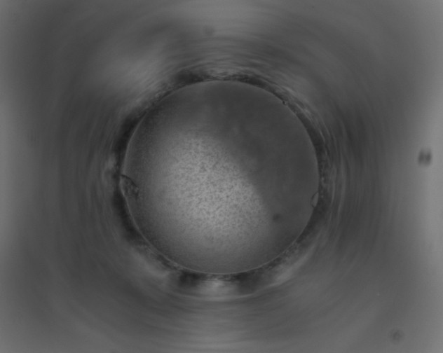 X0000094450319200711211524