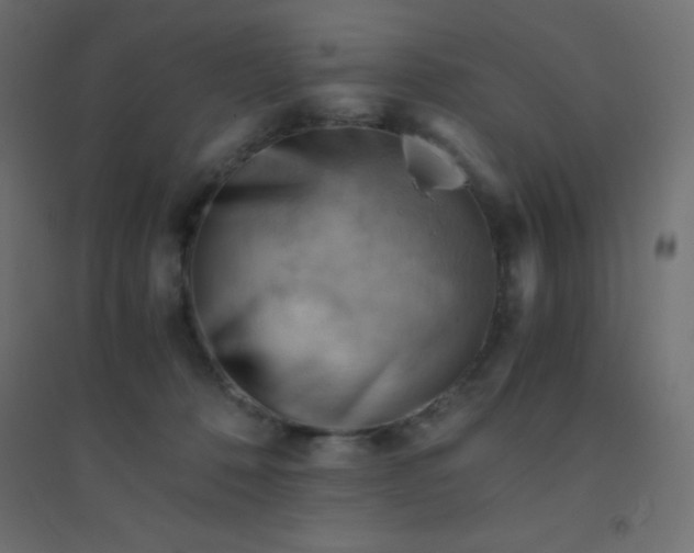 X0000094450320200711211524