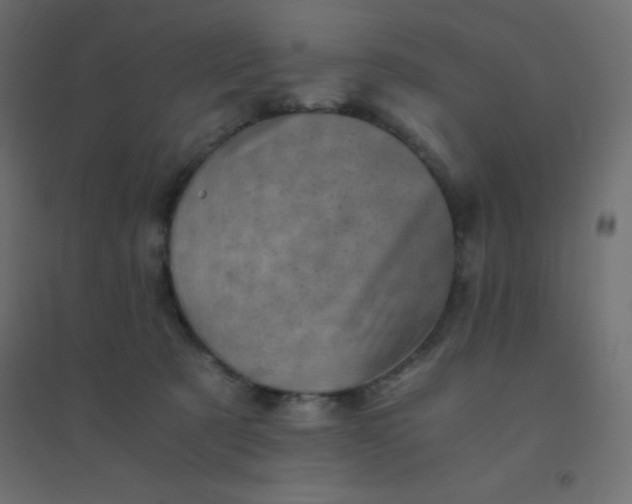 X0000094450321200711211524