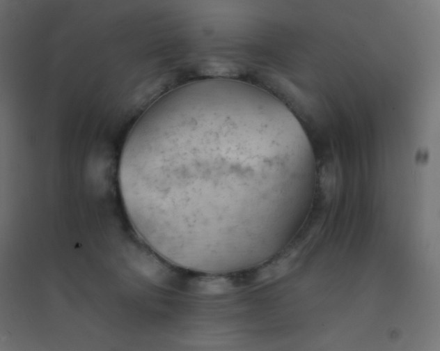 X0000094450322200711211524