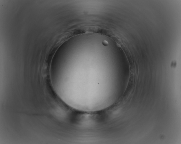 X0000094450323200711211524