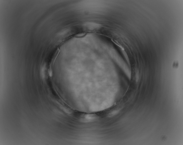 X0000094450324200711211524